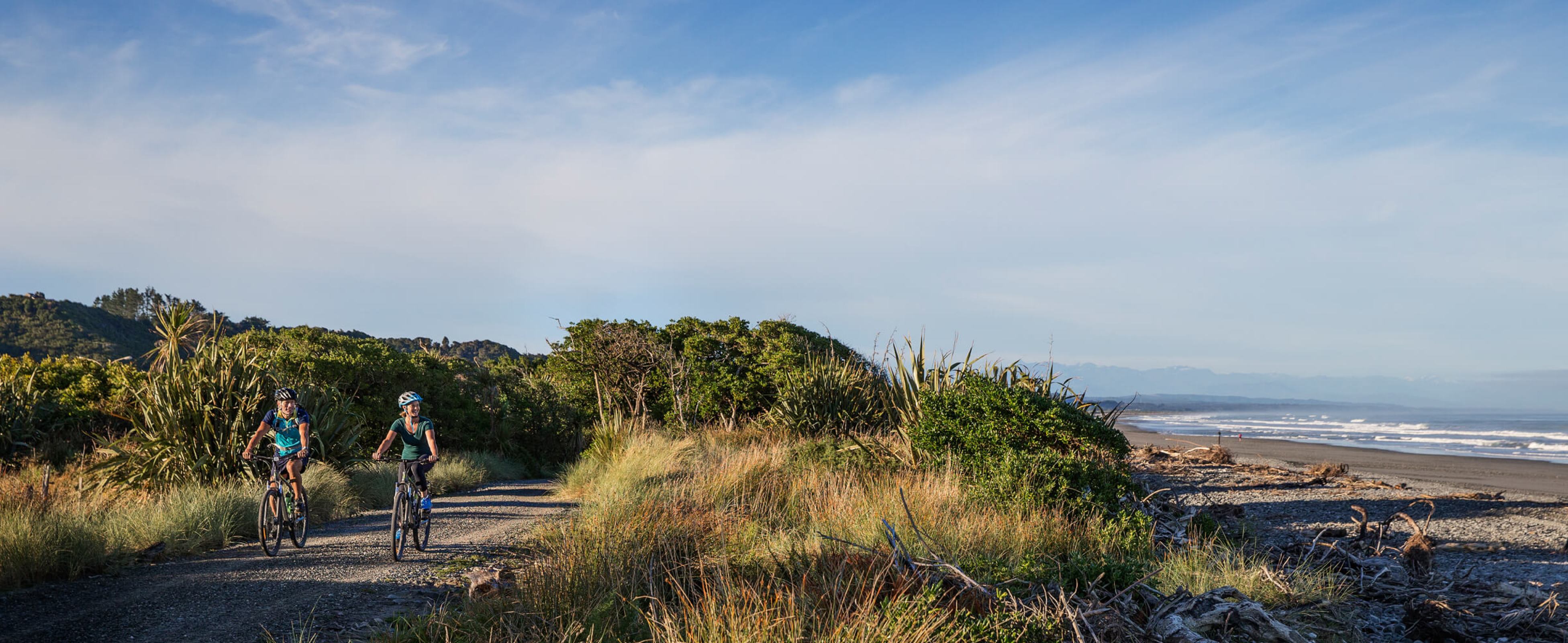 man with a van new plymouth